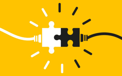 40 Years of Shepherd: Rooted in Partnerships